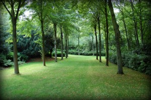 Claremont Landscape Gardens