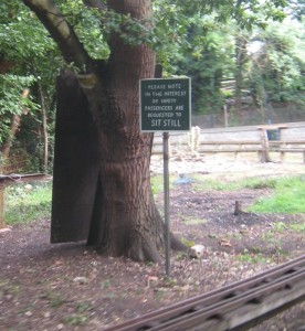 Thames Ditton Miniature Railway