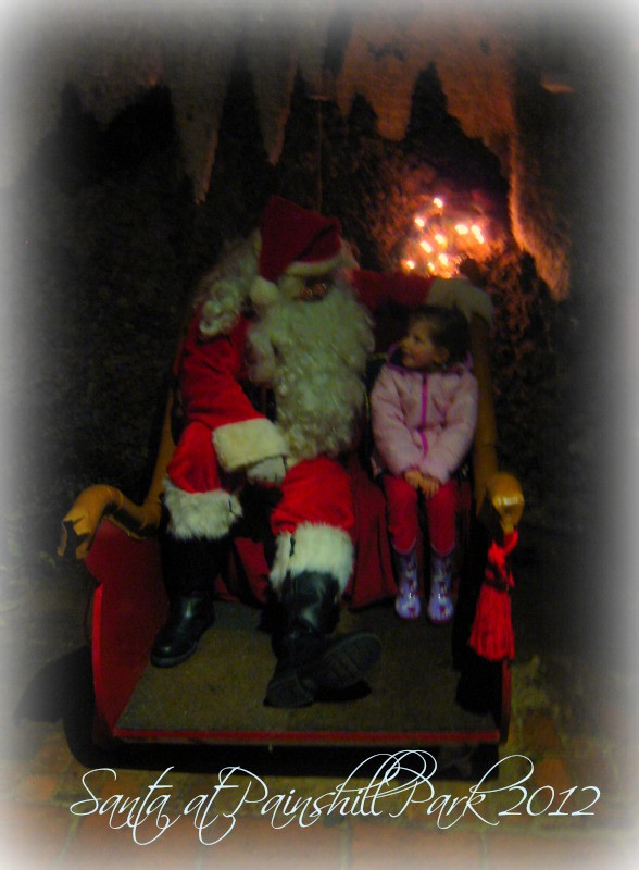 Painshill Park Santa 2012