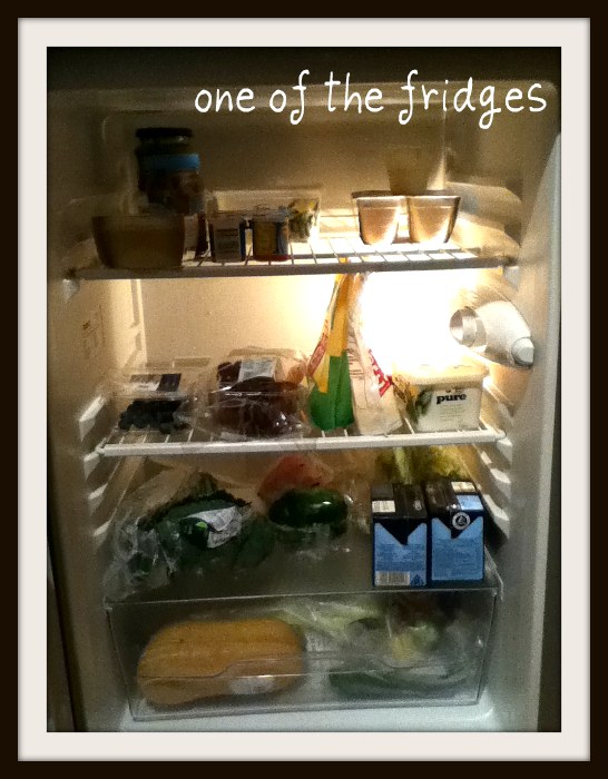 My Fridge