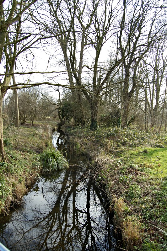 Morden Hall Park