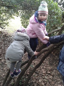 Polesden Lacey climbing trees