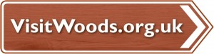 visit woods logo