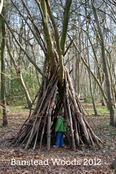 Banstead Woods