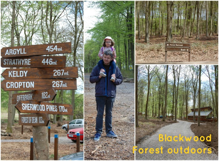 Blackwood Forest outdoors