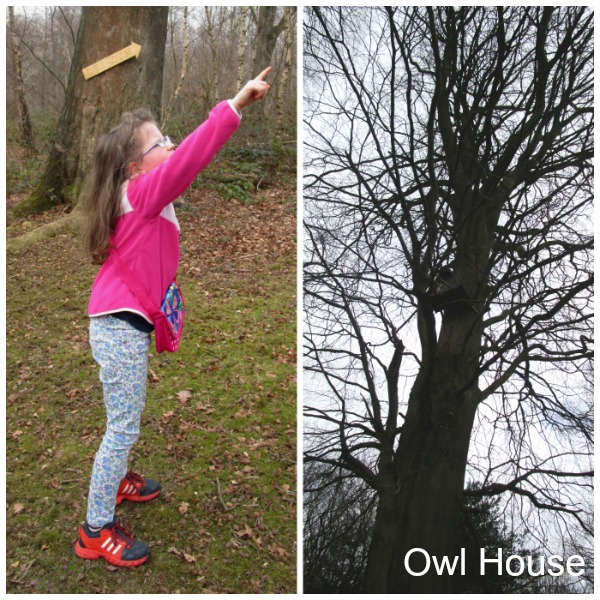 Limpsfield Common Owl House