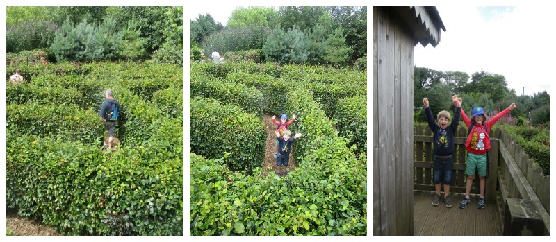 Hidden Valley Discovery Park maze