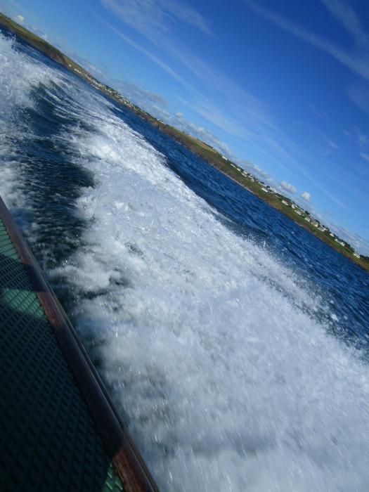 Our summer - Padstow Speedboat
