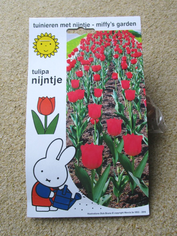 miffy tulips, nijntje tulipa