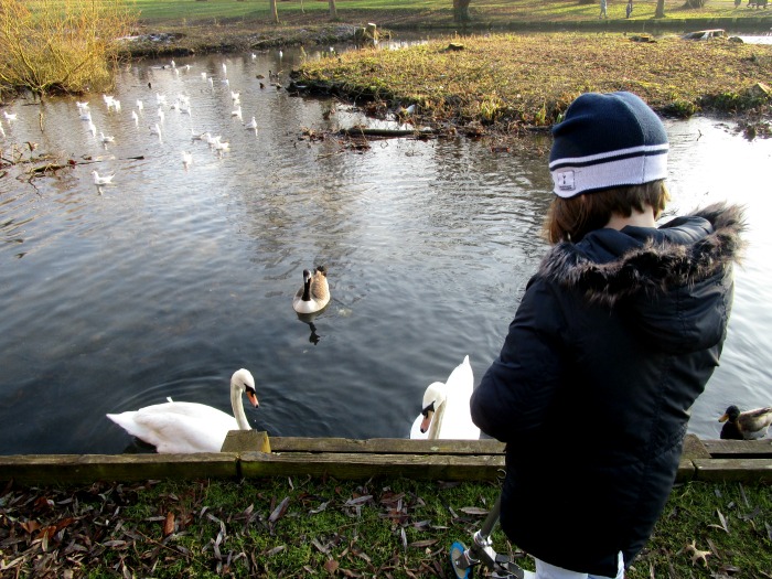 Beddington Park