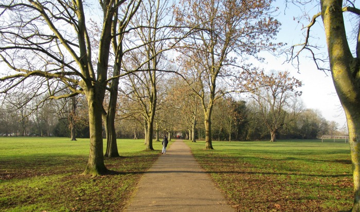 Beddington Park