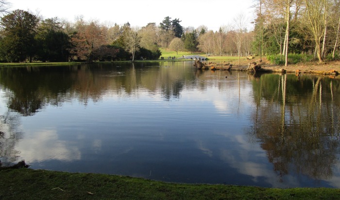 Painshill Park looking towards the five arch bridge