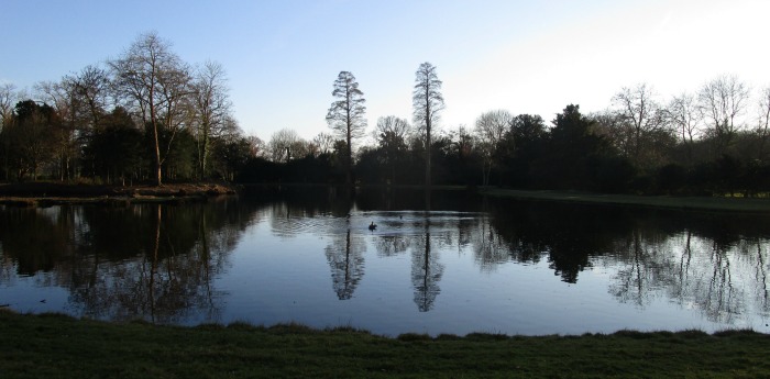 Painshill Park reflections
