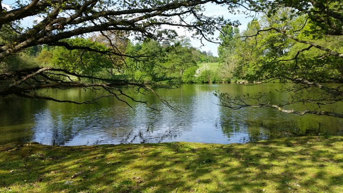 Loseley Park lake