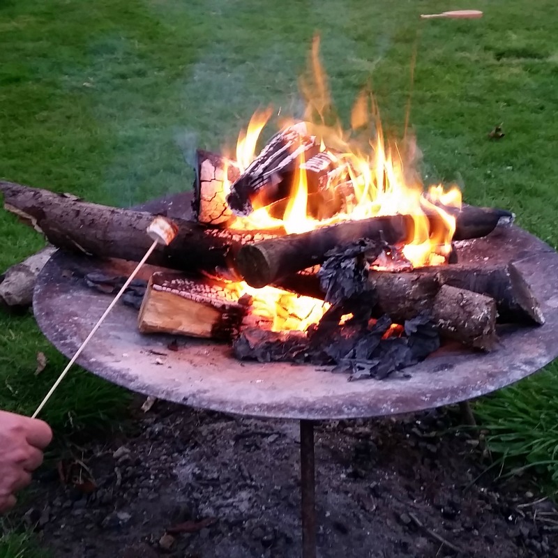 Toasting Marshmallows on an open fire