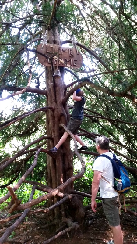 Osterley Park and House Chime Climb