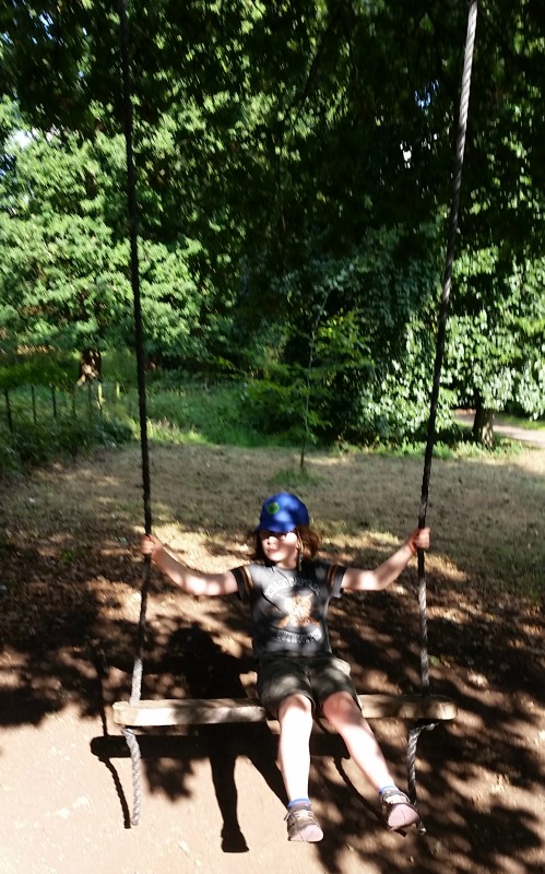 Osterley Park and House giant swing