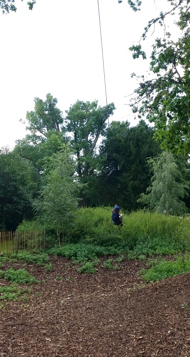 Osterley Park rope swing