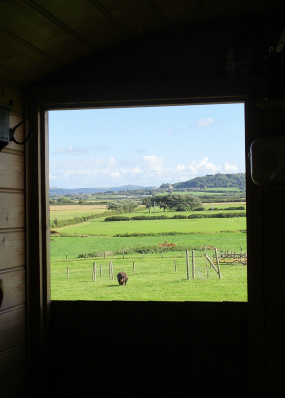 Woodspring Farm Hut view