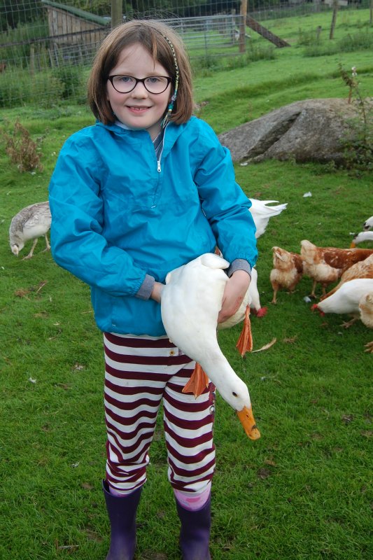 cuddling duck at Coombe Mill