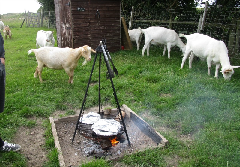 pizza and goats at Woodspring Farm Hut