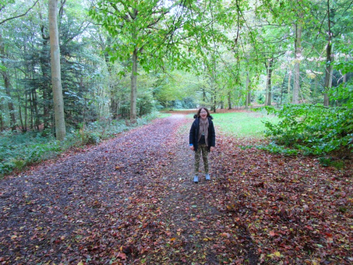 Castle Howard Ray Wood walk