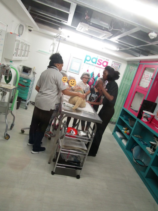 Kidzania PDSA