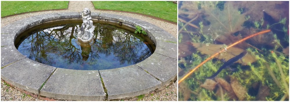 Clandon Park Dutch Garden and Newt