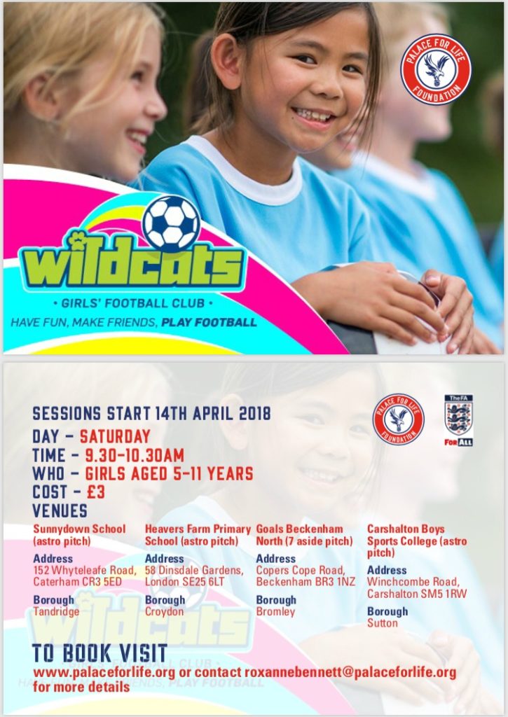 Crystal Palace Wildcats sessions 2018