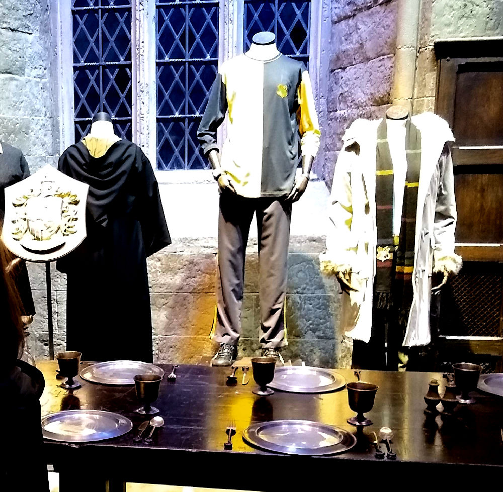 Hufflepuff Cedric Diggory Robes