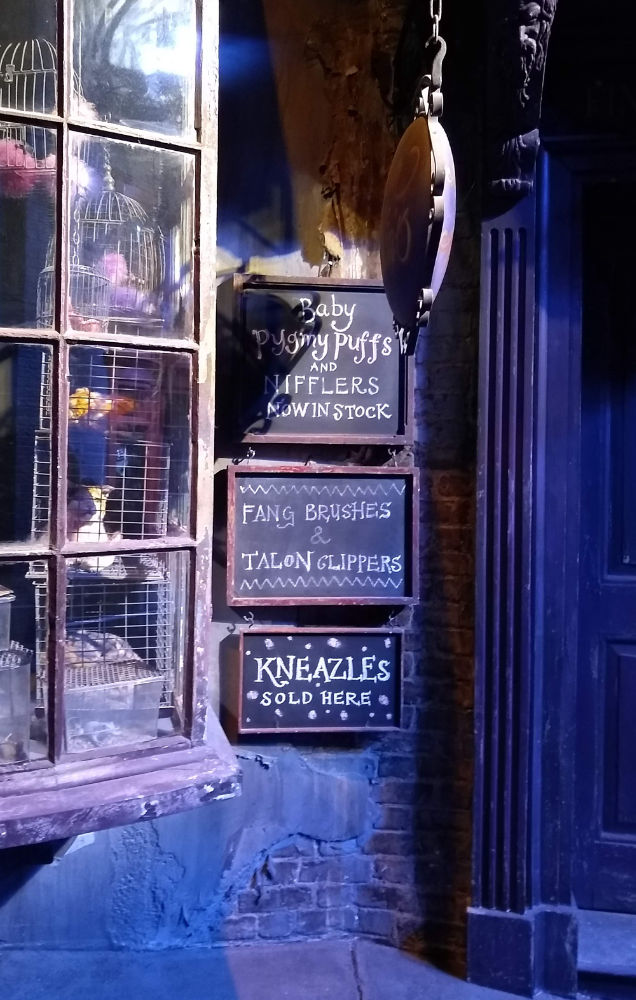 Magical Menagerie Diagon Alley signs