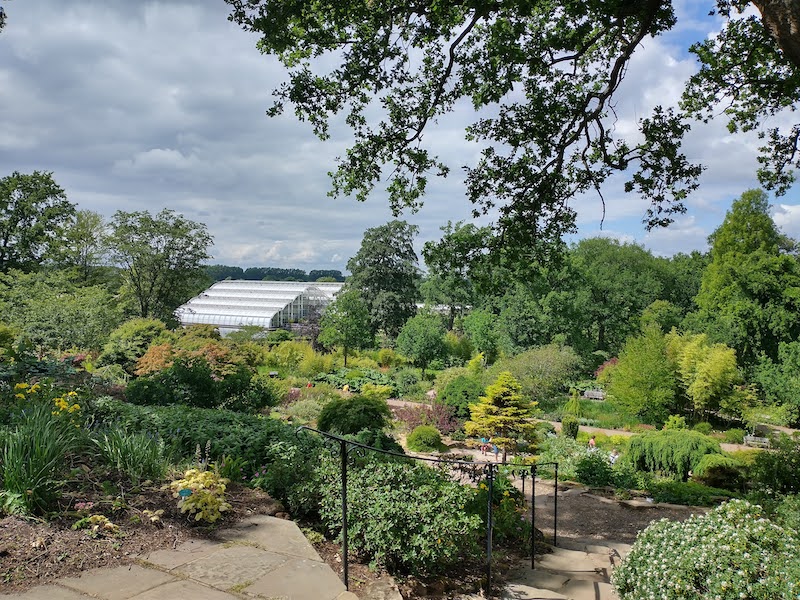 Wisley in lockdown, looking at Wisley from the hill,